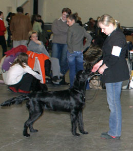 Jane VSP-pentu 26.2.06