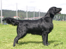 kuva L.Böös